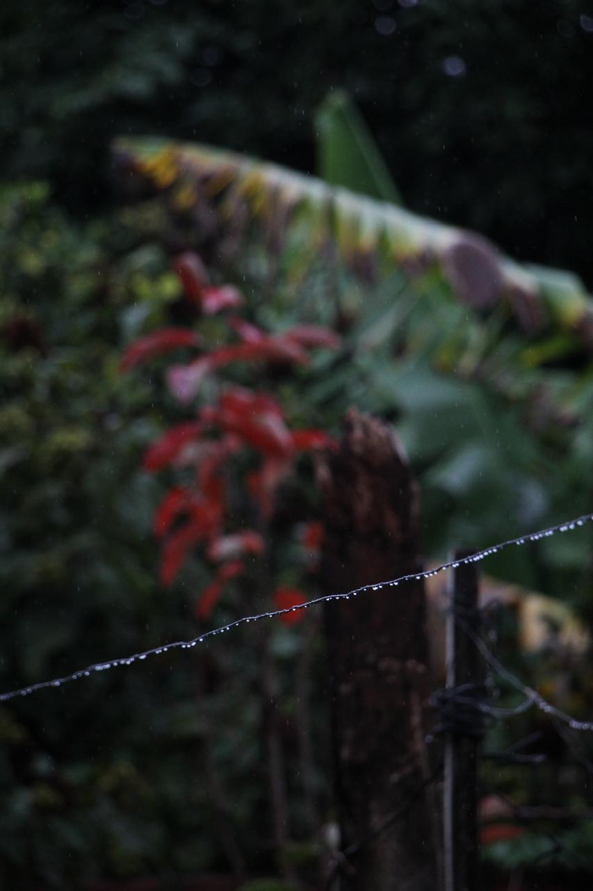 Natureza